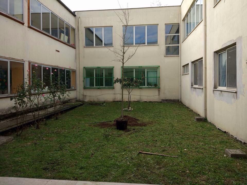 albero17