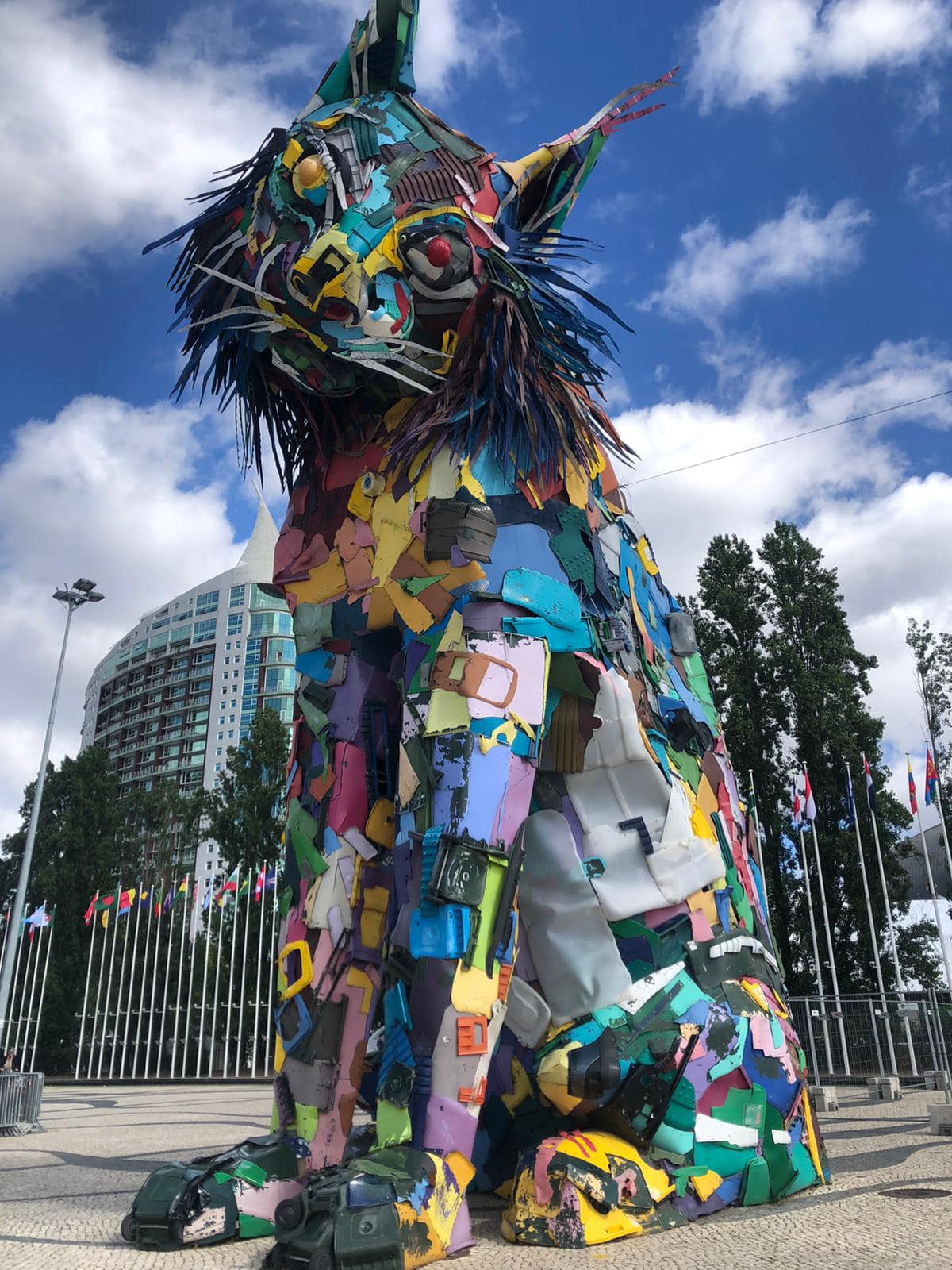 erasmun portogallo22