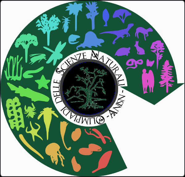 Olimpiadi scienze 2015