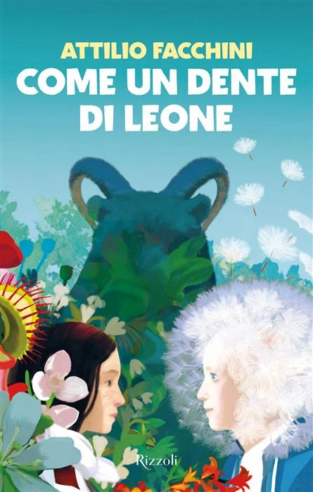 copertina del libro di attilio facchini